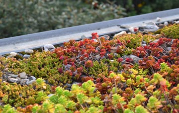 the cost of Bracon green roof installation